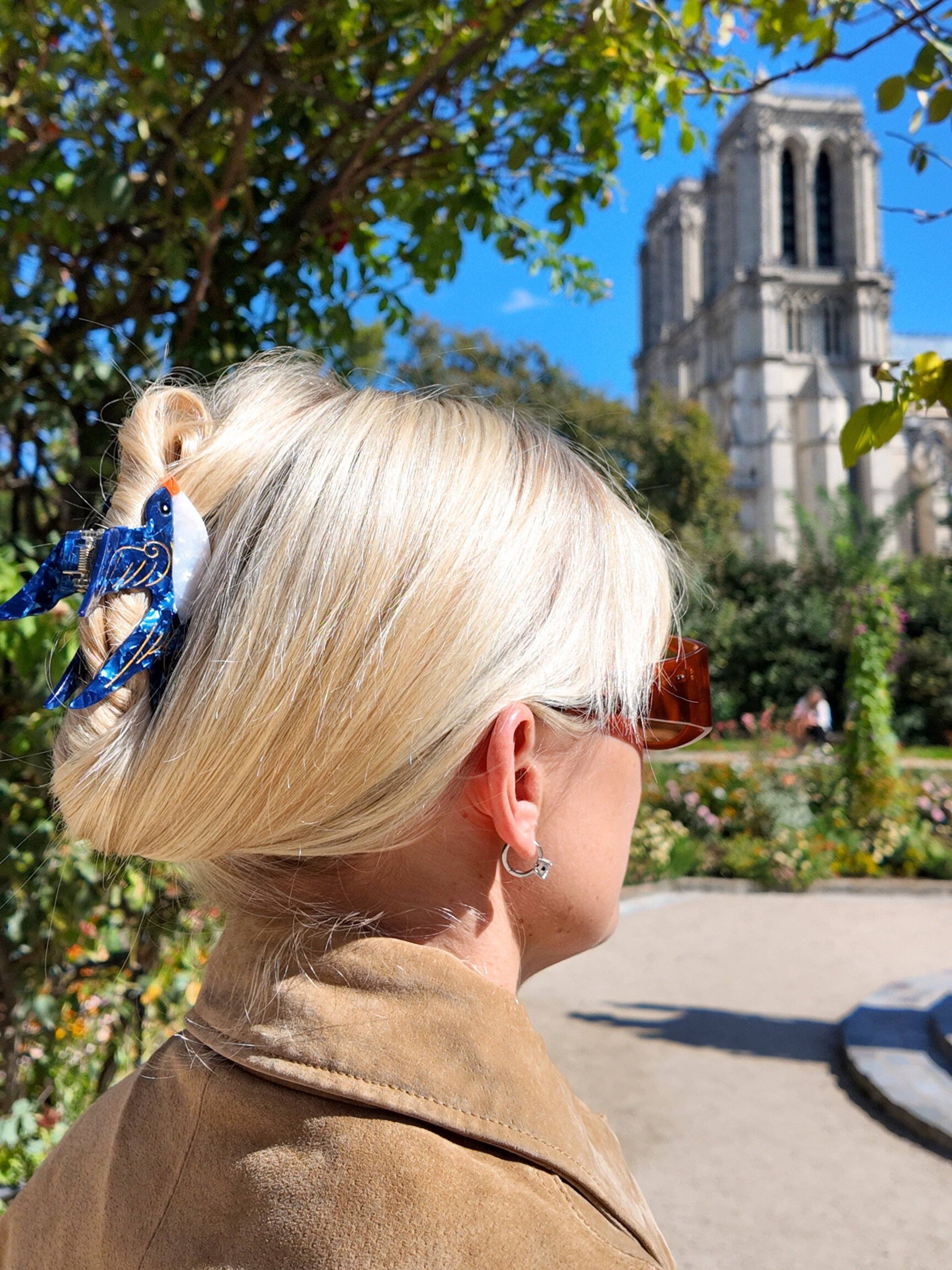 Solar Eclipse - Hand-painted Swallow Bird Claw Hair Clip | Eco-Friendly