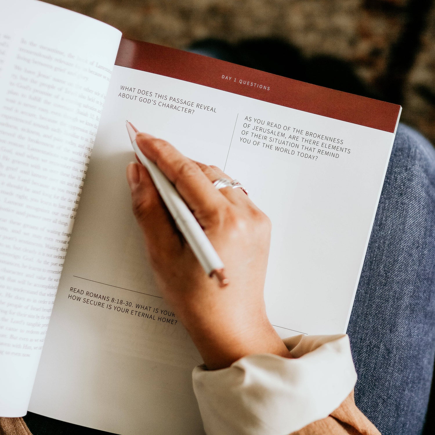 The Daily Grace Co - Between Grief and Glory | Lamentations Study