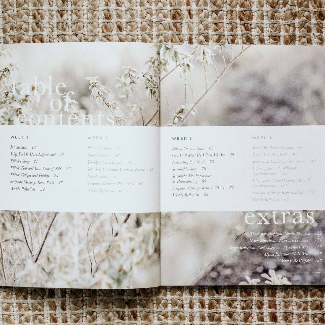 The Daily Grace Co - Never Alone | Depression Study