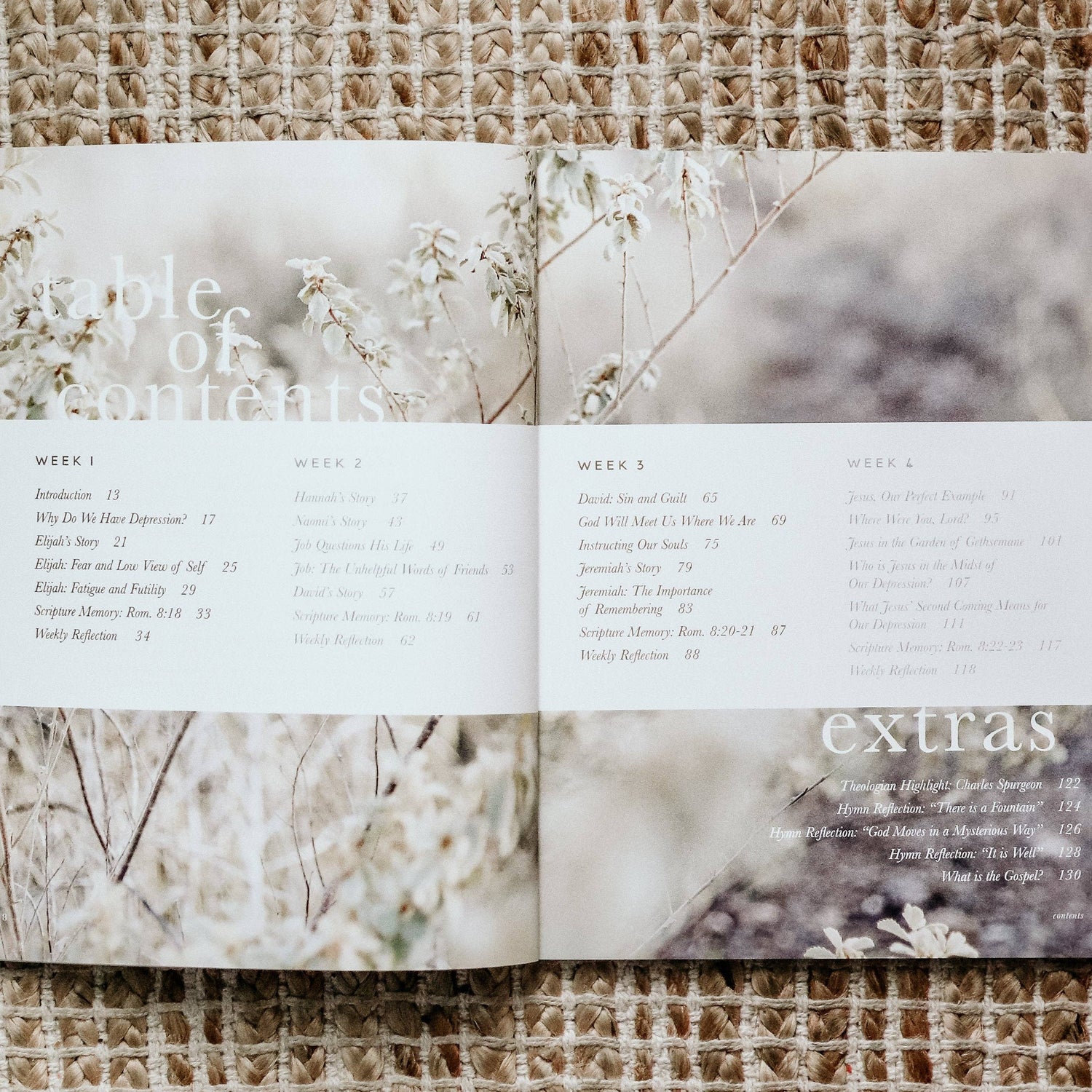 The Daily Grace Co - Never Alone | Depression Study