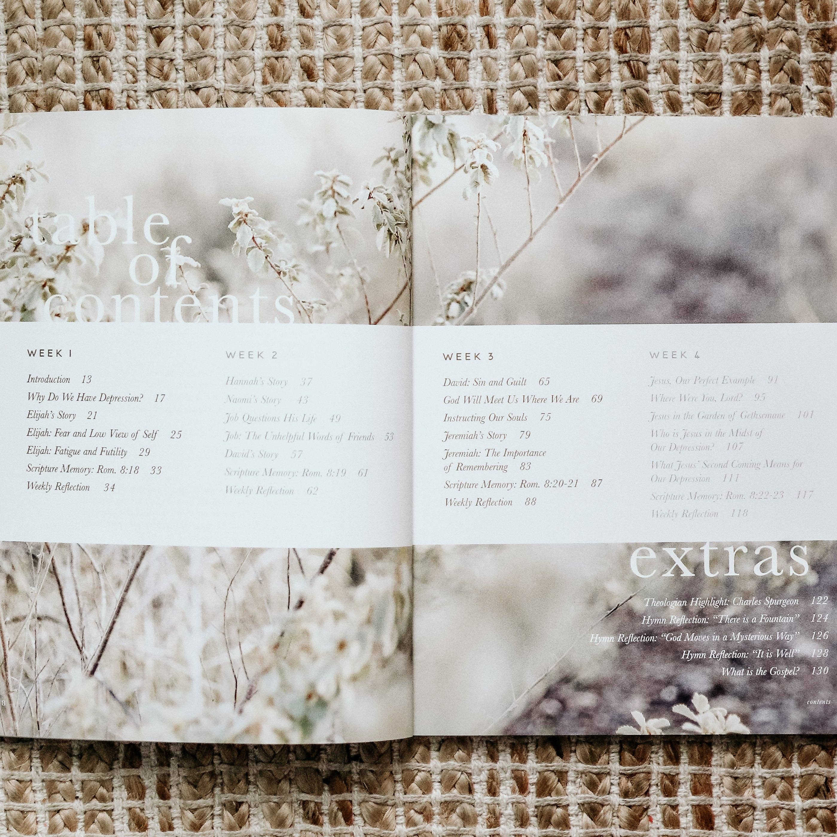 The Daily Grace Co - Never Alone | Depression Study