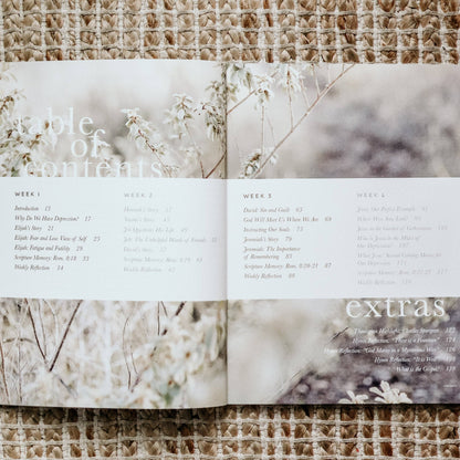 The Daily Grace Co - Never Alone | Depression Study