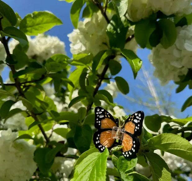 Solar Eclipse - Hand-painted Mini Monarch Butterfly Claw Hair Clip | Eco-Friendly