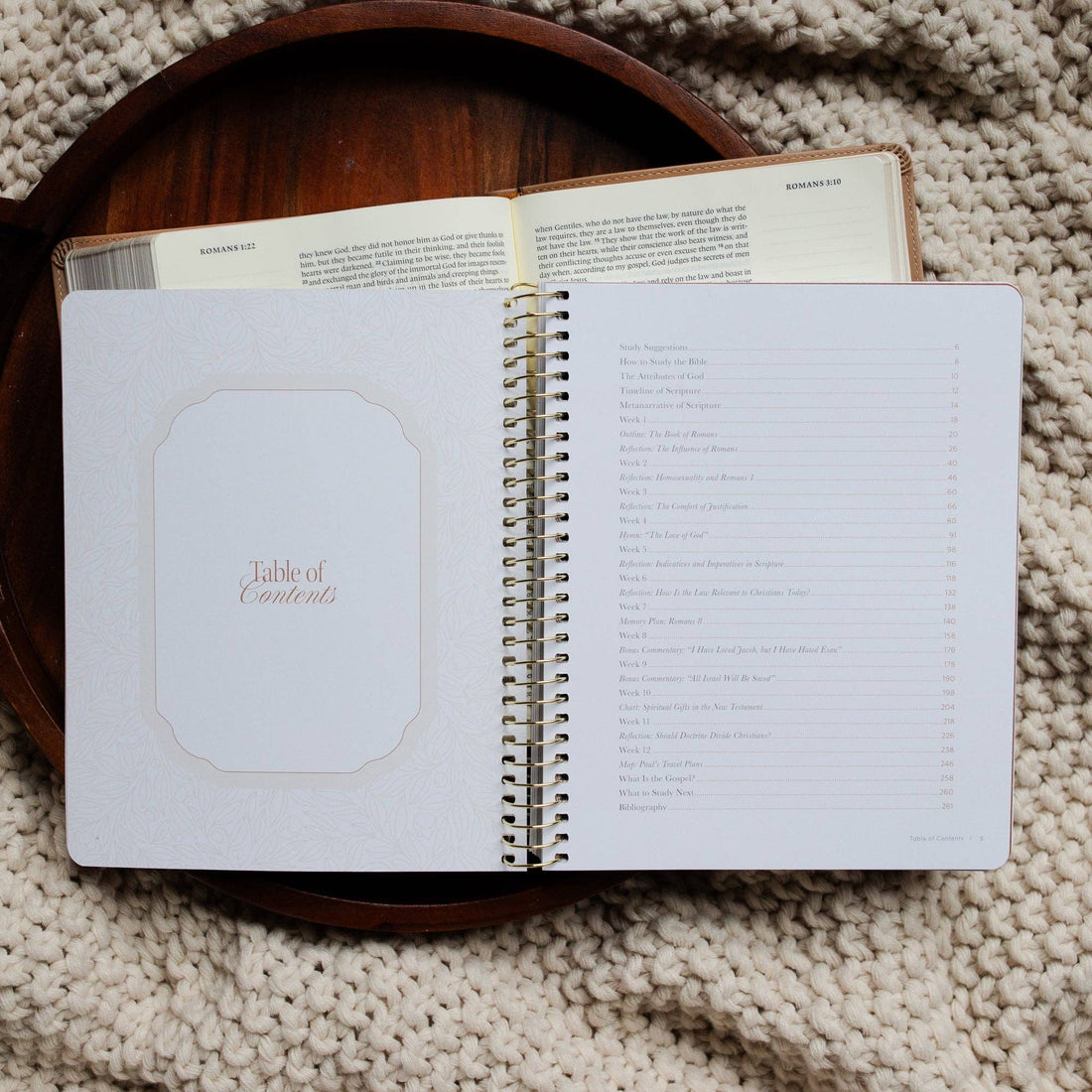 The Daily Grace Co - In Christ Alone: A Study on the Book of Romans