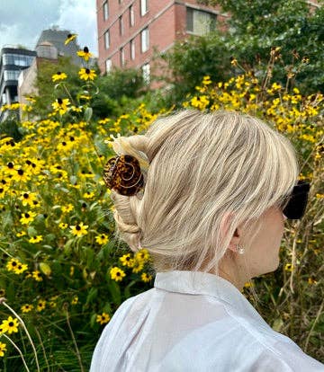 Solar Eclipse - Hand-painted Snail Claw Hair Clip | Eco-Friendly