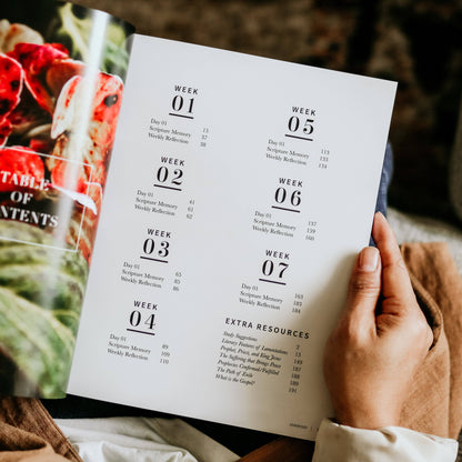 The Daily Grace Co - Between Grief and Glory | Lamentations Study