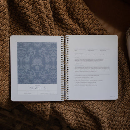 The Daily Grace Co - A Year in the Bible | Volume 1 Bible Study
