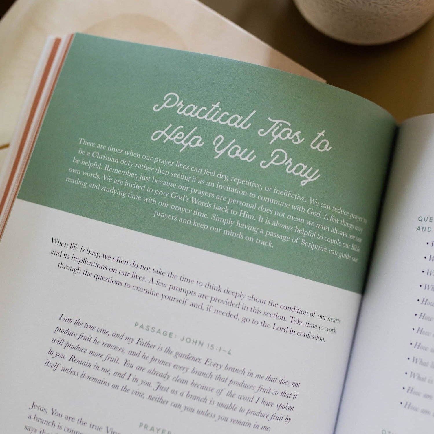 The Daily Grace Co - Growing in Grace | Spiritual Disciplines Study