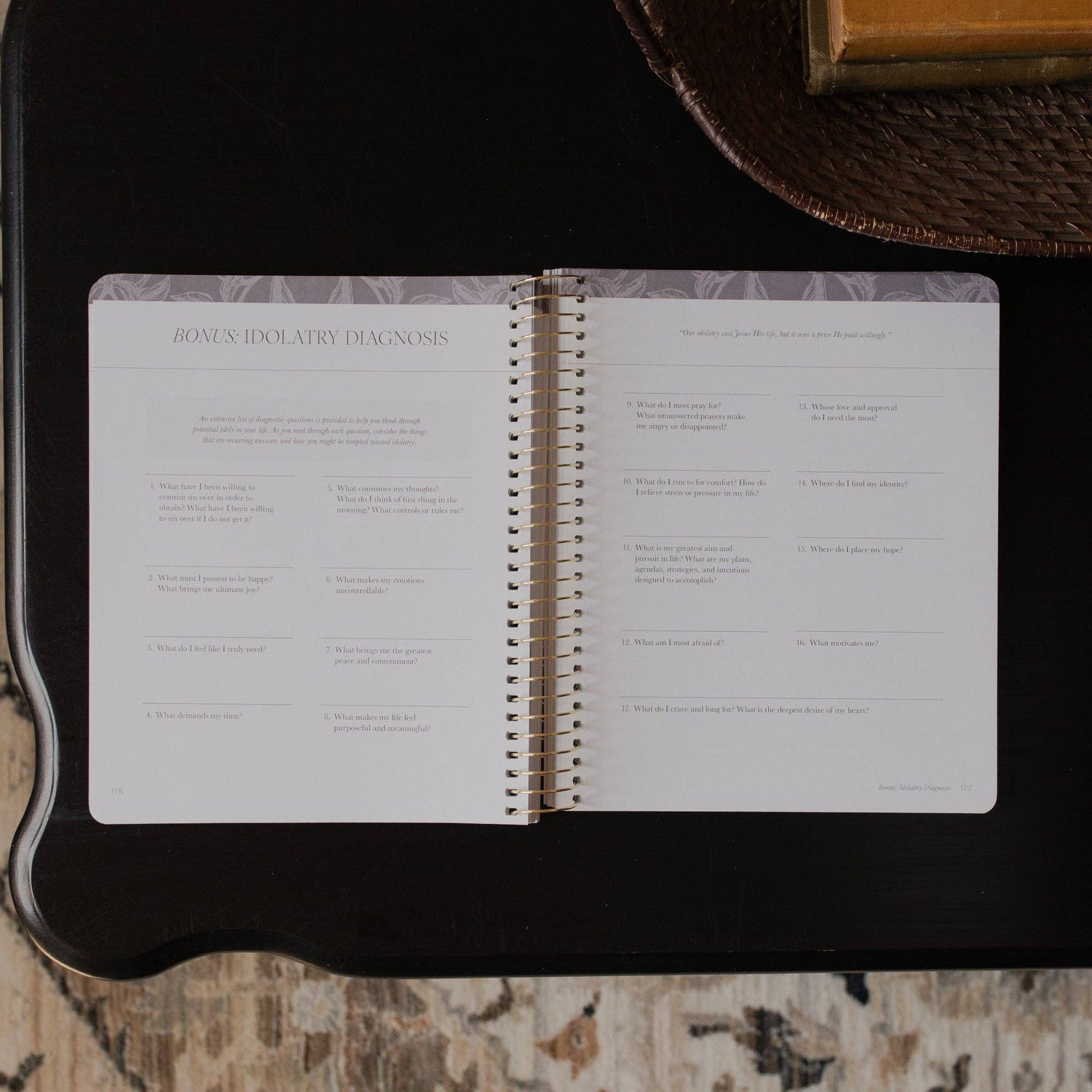 The Daily Grace Co - A Year in the Bible | 365 Days of Discovering the Beauty of Jesus from Genesis to Revelation | Volume 3