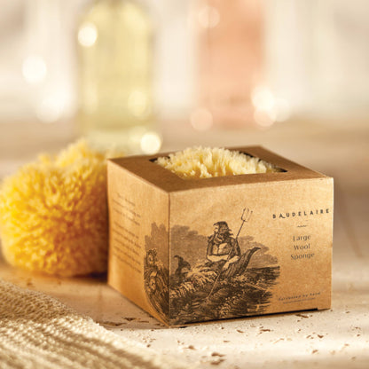 Baudelaire - Bath Sea Sponge Gift Box - Large 5.5"