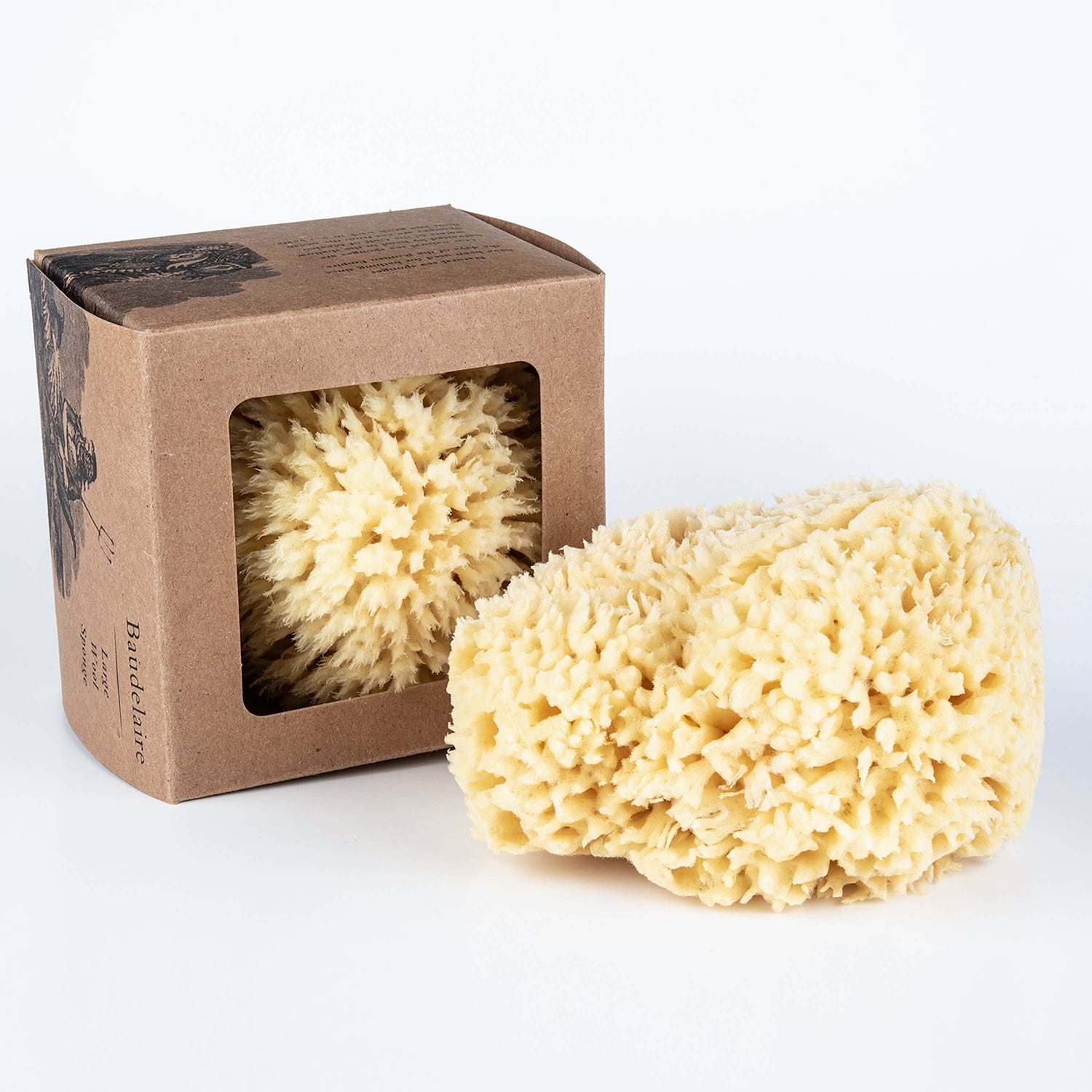 Baudelaire - Bath Sea Sponge Gift Box - Large 5.5"