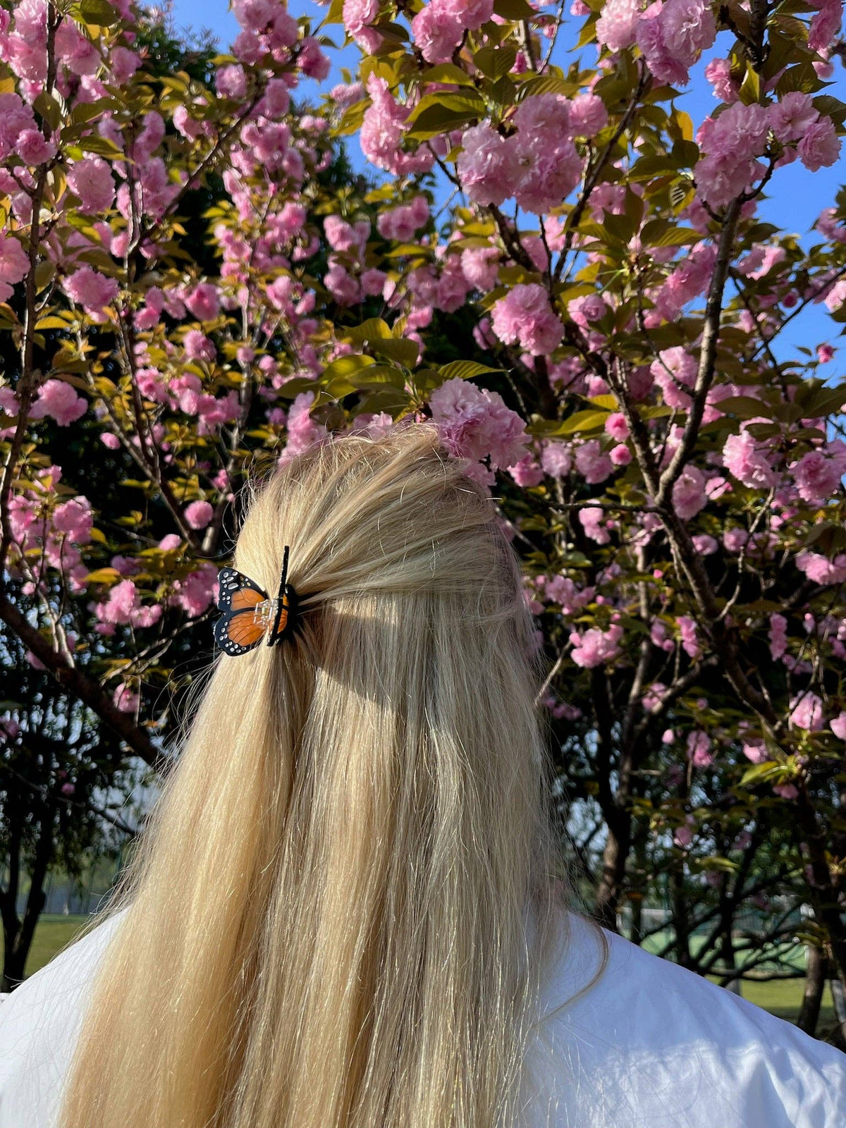 Solar Eclipse - Hand-painted Mini Monarch Butterfly Claw Hair Clip | Eco-Friendly
