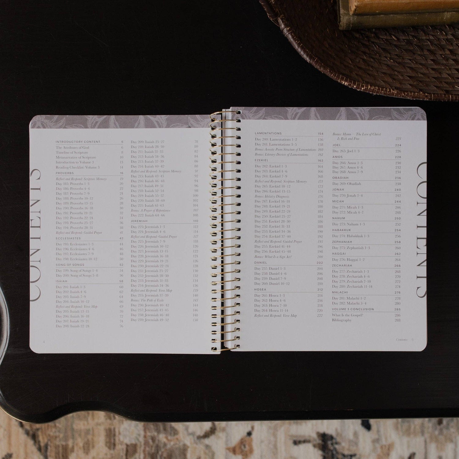 The Daily Grace Co - A Year in the Bible | 365 Days of Discovering the Beauty of Jesus from Genesis to Revelation | Volume 3