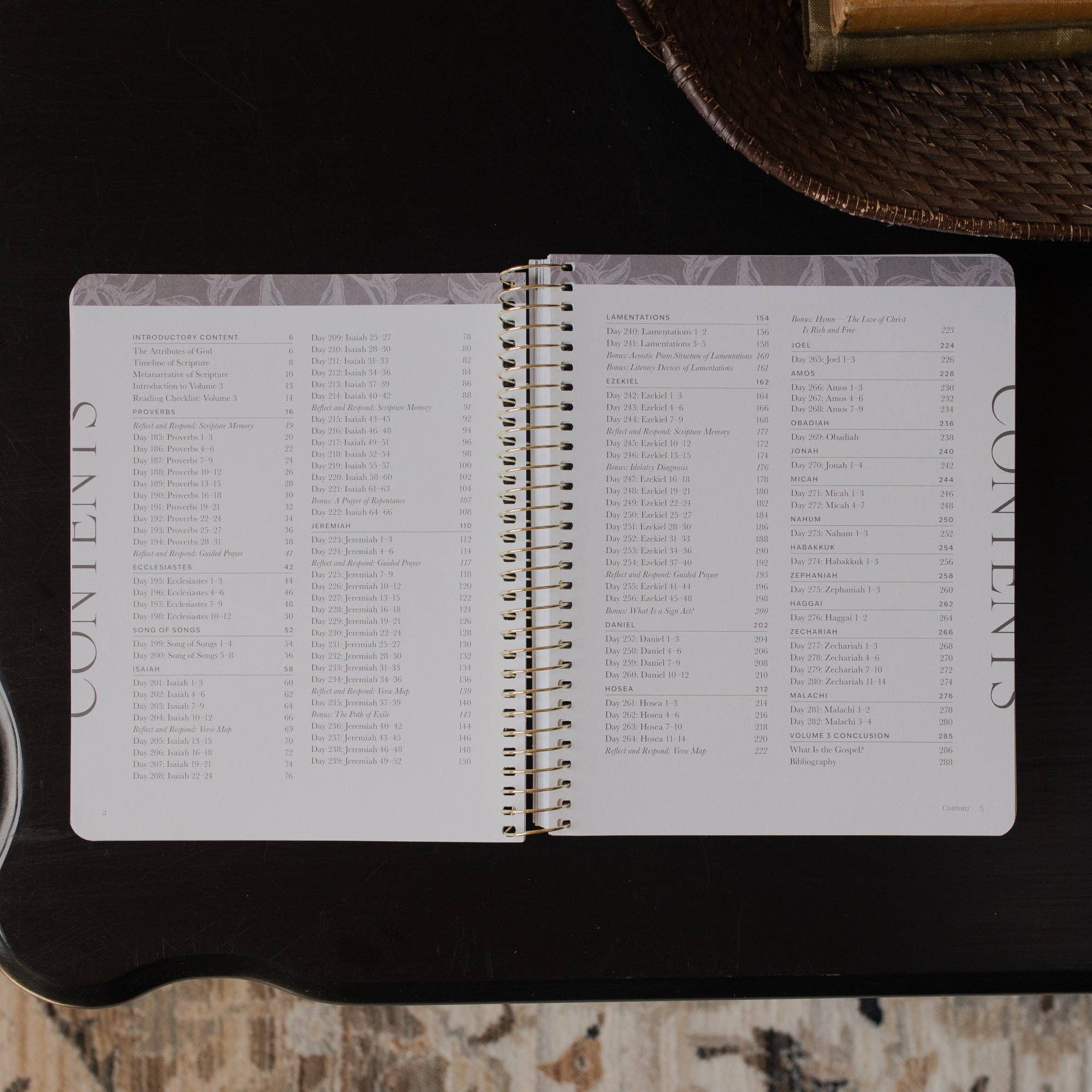 The Daily Grace Co - A Year in the Bible | 365 Days of Discovering the Beauty of Jesus from Genesis to Revelation | Volume 3