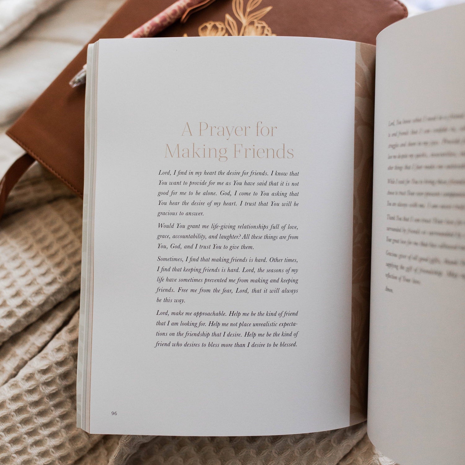 The Daily Grace Co - Craving Community | A Study on Friendship