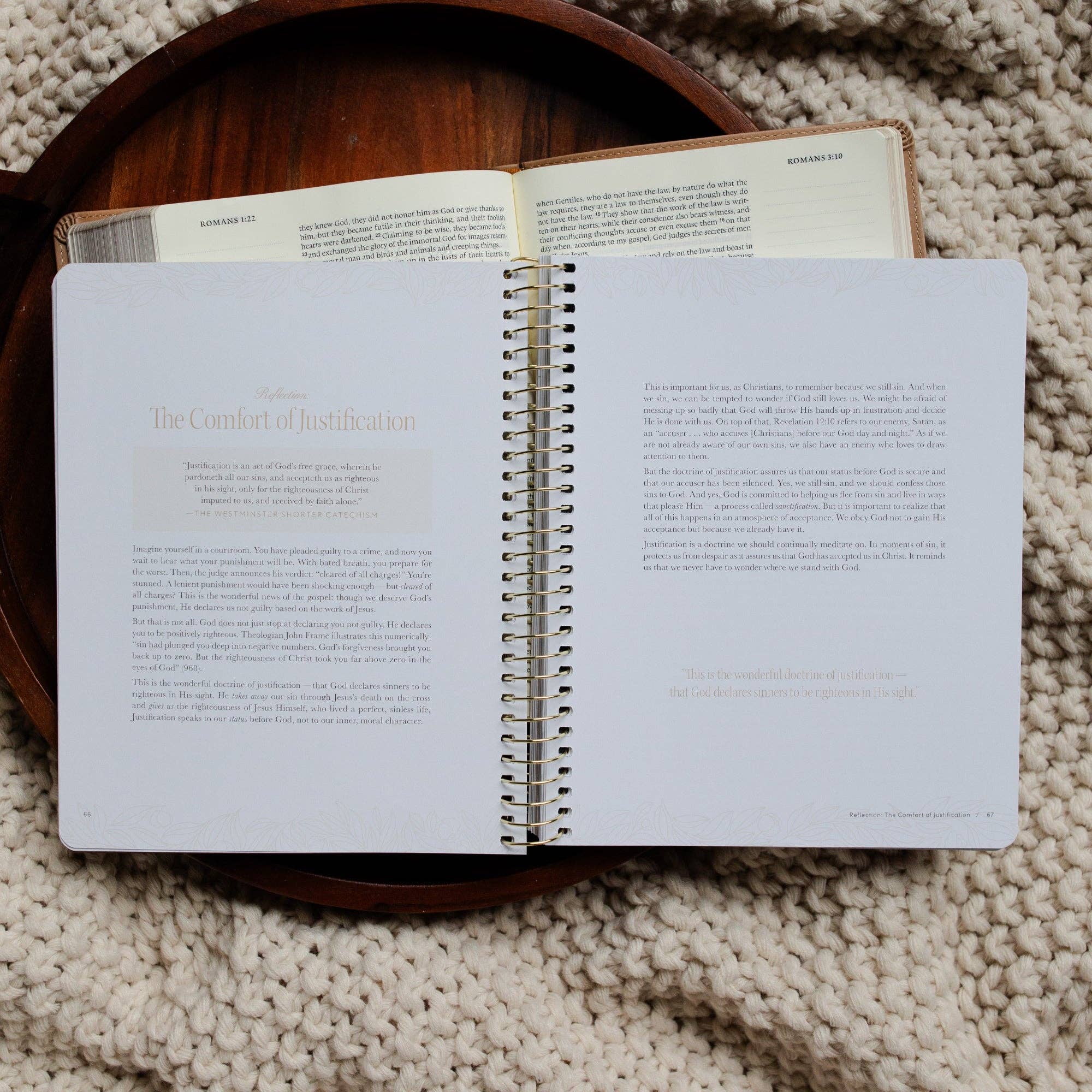 The Daily Grace Co - In Christ Alone: A Study on the Book of Romans