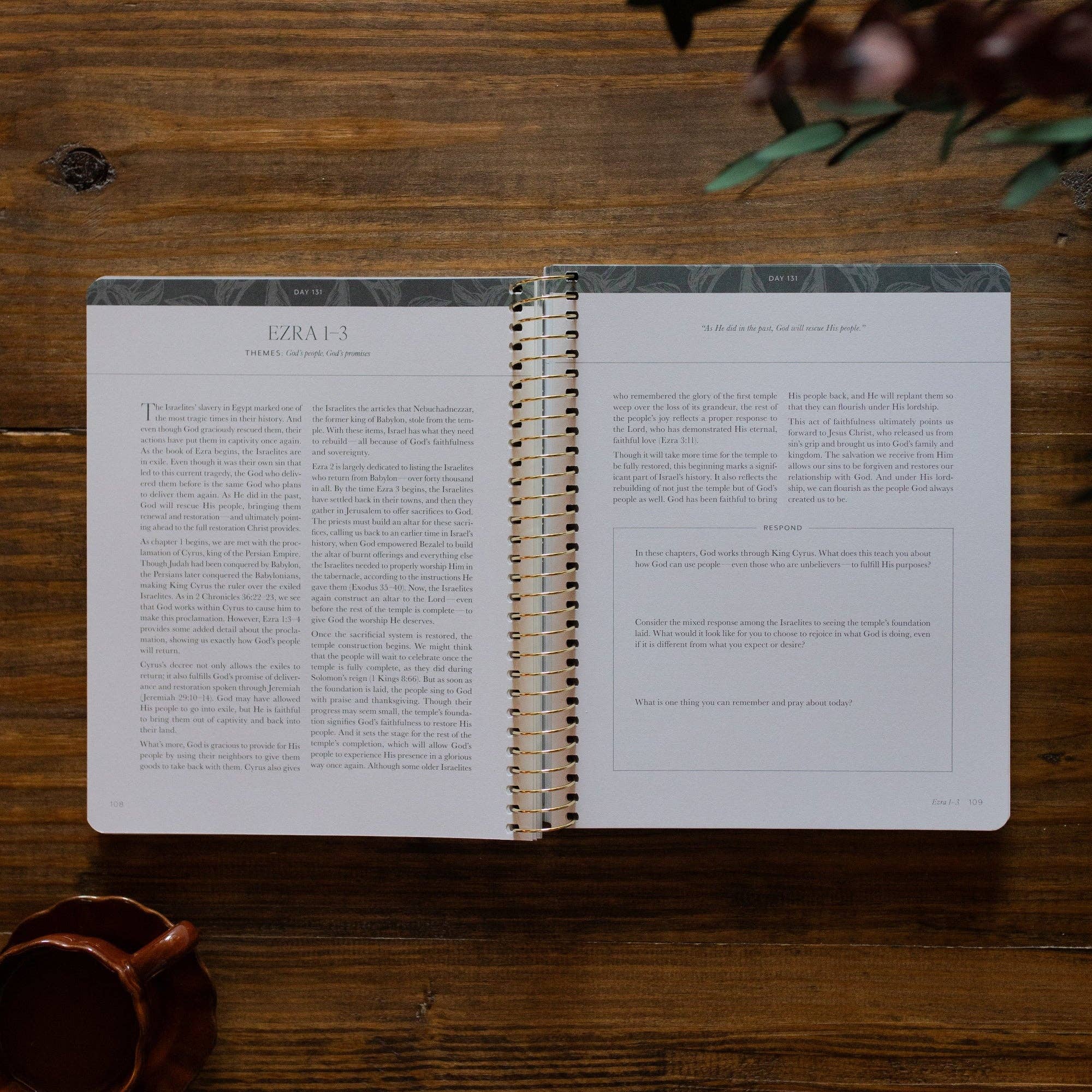 The Daily Grace Co - A Year in the Bible | 365 Days of Discovering the Beauty of Jesus from Genesis to Revelation | Volume 2