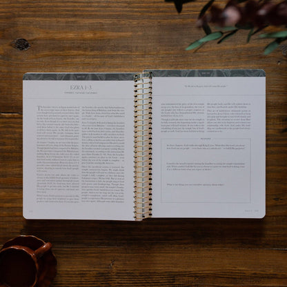 The Daily Grace Co - A Year in the Bible | 365 Days of Discovering the Beauty of Jesus from Genesis to Revelation | Volume 2