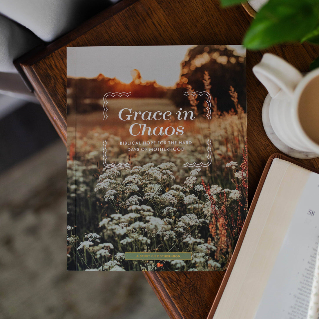 The Daily Grace Co - Grace in Chaos | Biblical Hope for the Hard Days of Motherhood