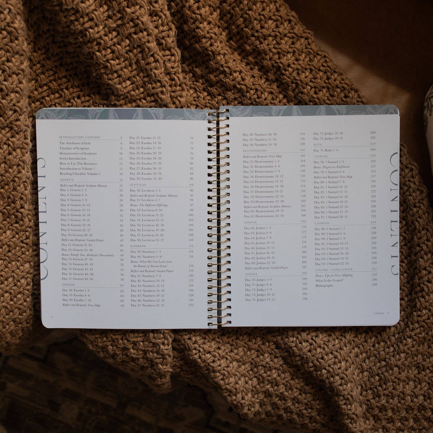 The Daily Grace Co - A Year in the Bible | Volume 1 Bible Study
