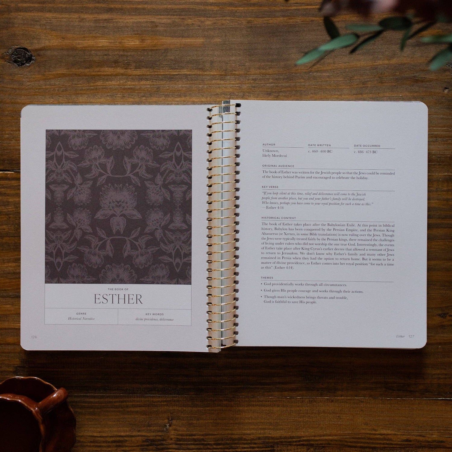 The Daily Grace Co - A Year in the Bible | 365 Days of Discovering the Beauty of Jesus from Genesis to Revelation | Volume 2