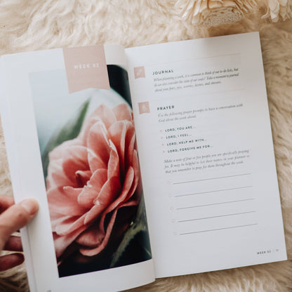 The Daily Grace Co - Fix Your Focus - A 52-Week Guide to Help You Put God First