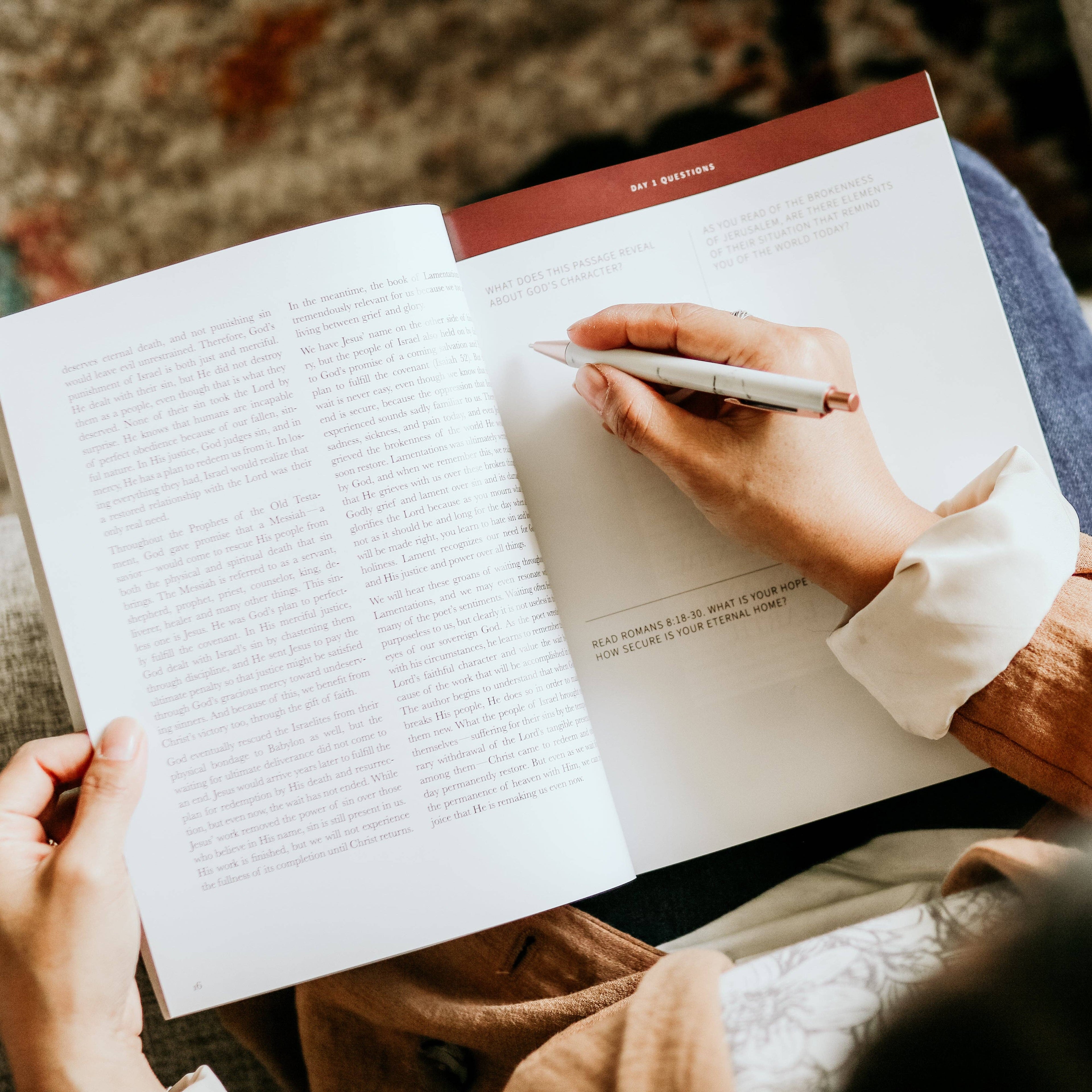 The Daily Grace Co - Between Grief and Glory | Lamentations Study