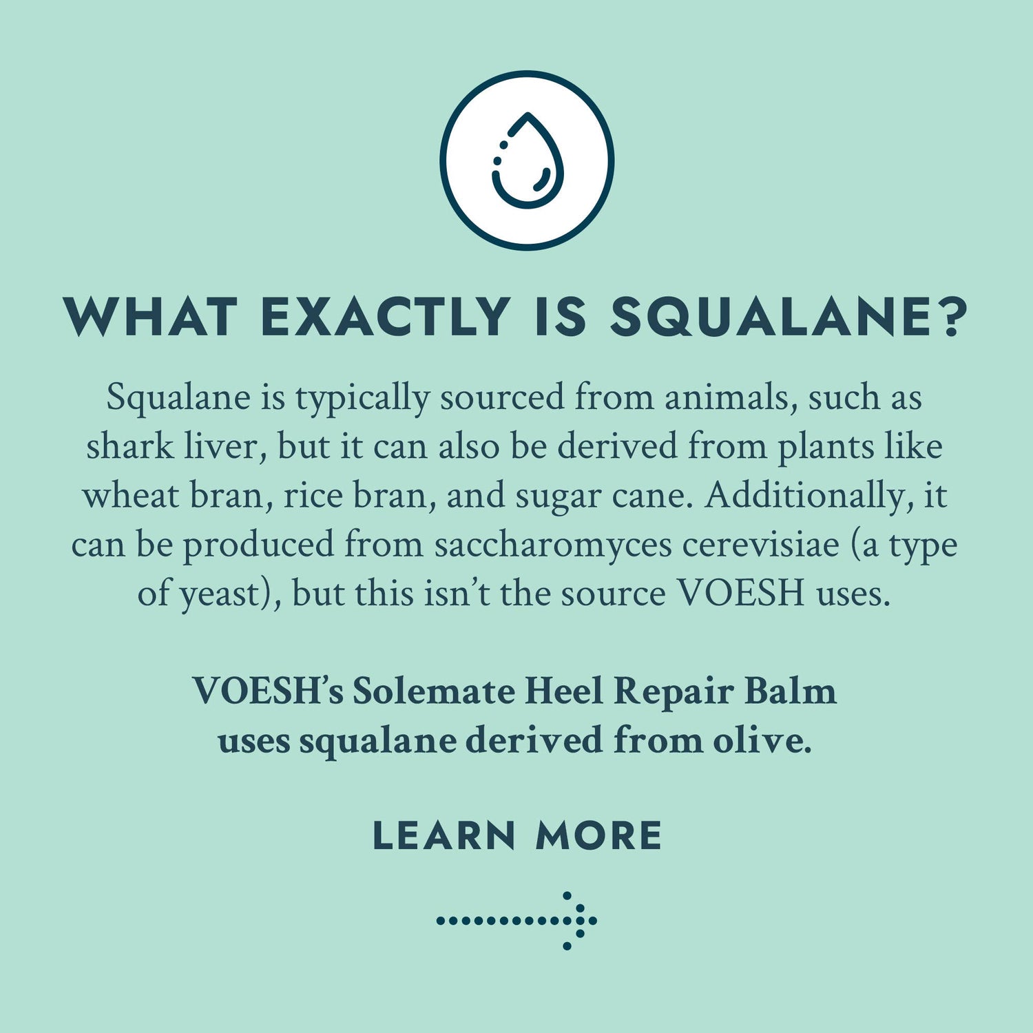 VOESH New York - Solemate Heel Repair Balm Retail - Mint