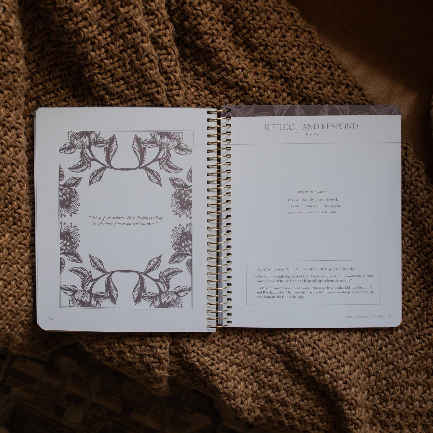 The Daily Grace Co - A Year in the Bible | Volume 1 Bible Study