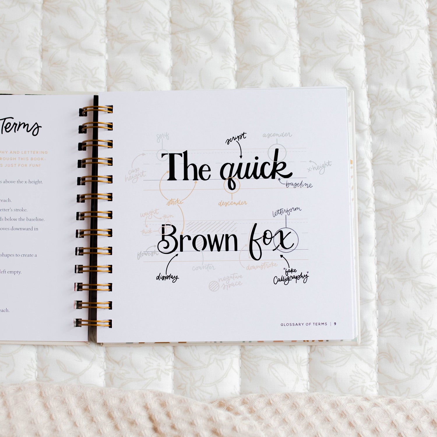 The Daily Grace Co - Daily Grace Scripture Lettering Workbook