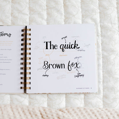 The Daily Grace Co - Daily Grace Scripture Lettering Workbook
