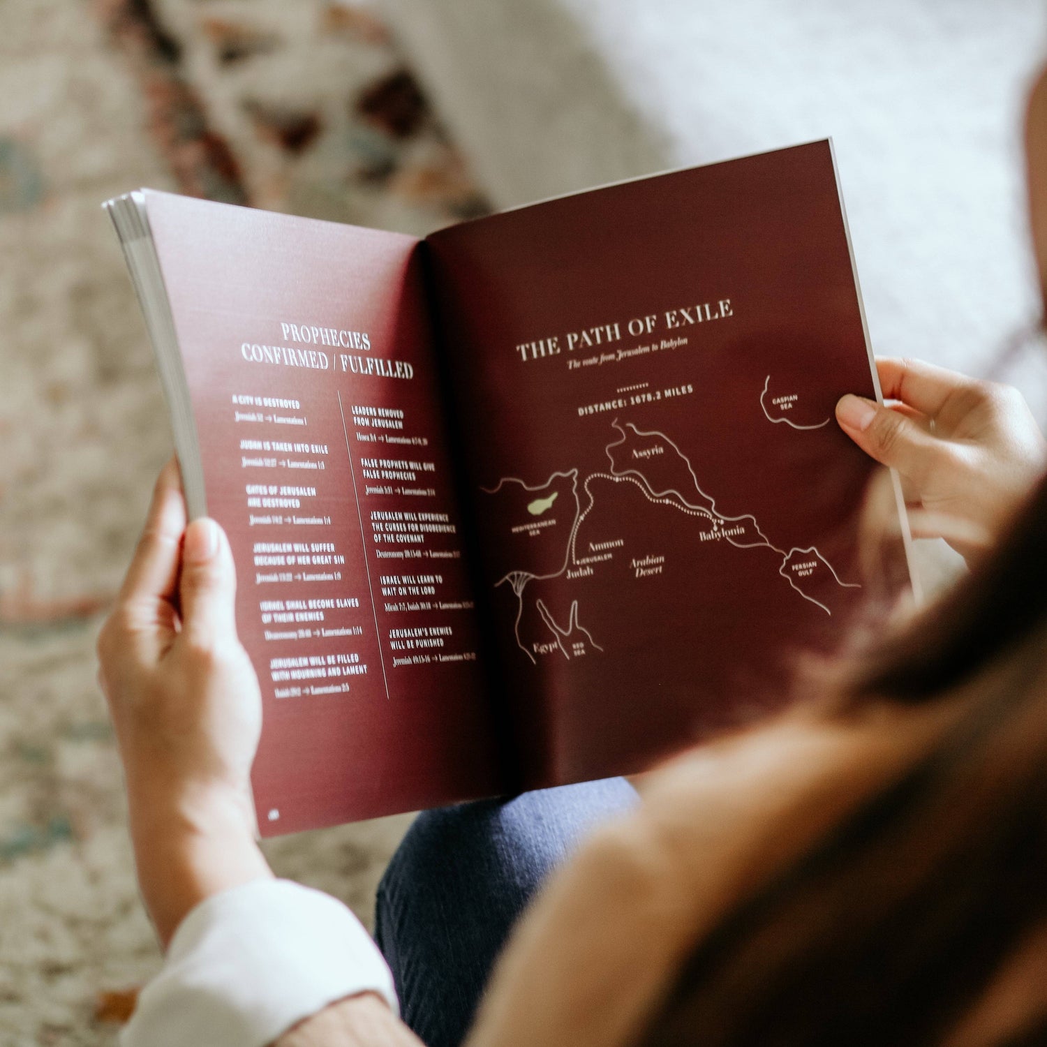 The Daily Grace Co - Between Grief and Glory | Lamentations Study