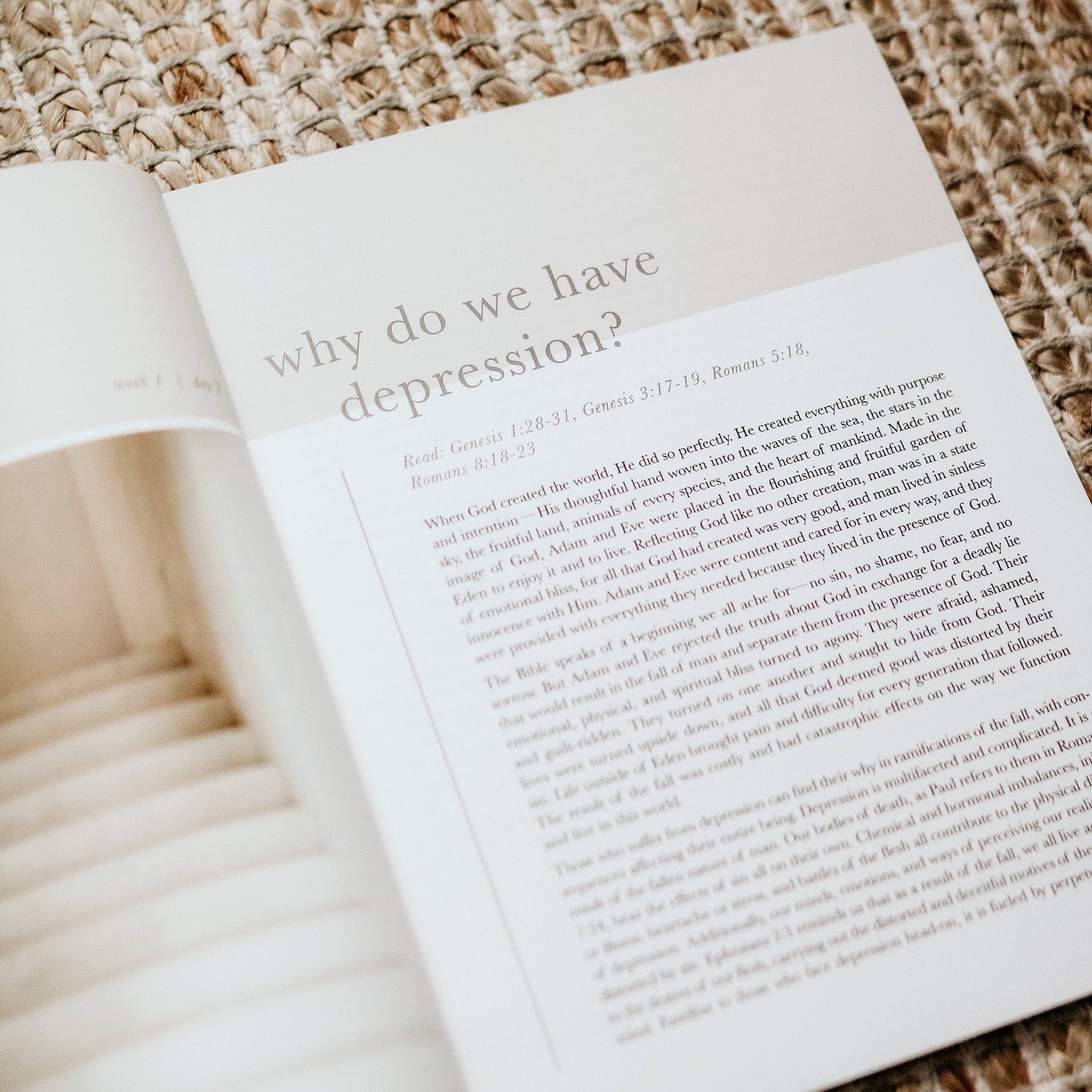 The Daily Grace Co - Never Alone | Depression Study