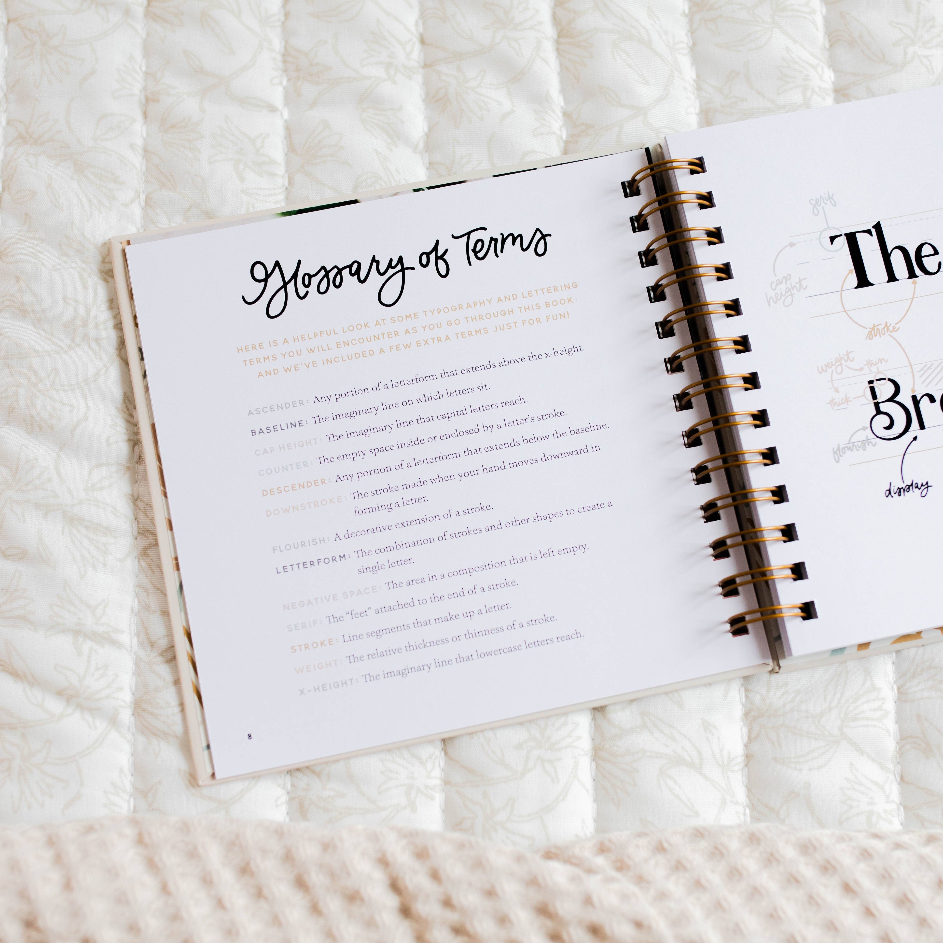 The Daily Grace Co - Daily Grace Scripture Lettering Workbook